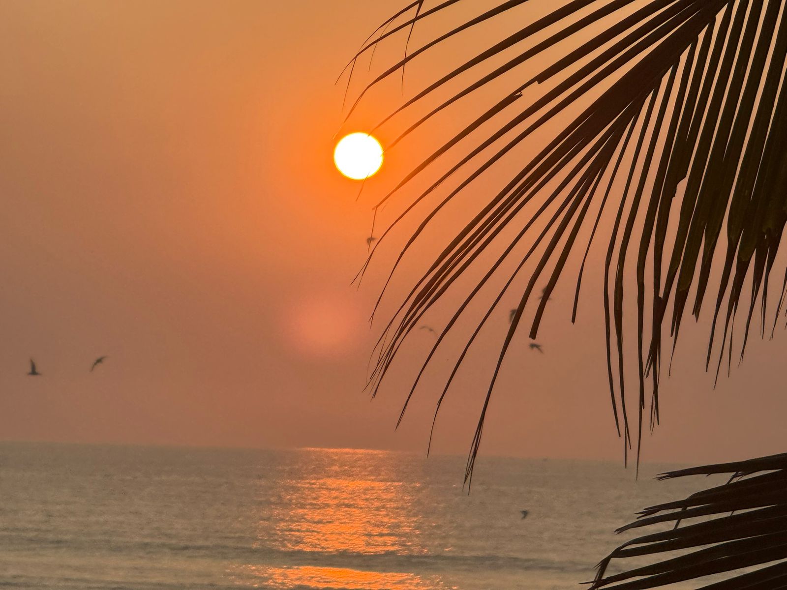Atardecer Chacahua